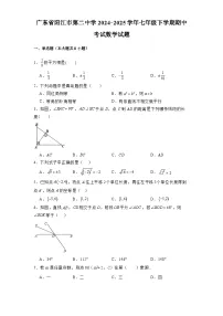 广东省阳江市第二中学2024-2025学年七年级下学期期中考试 数学试题（含解析）