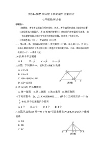 湖北省孝感市汉川市2024-2025学年度七年级下学期期中质量测 数学试卷