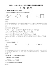 湖南省株洲市第二中学2024-2025学年七年级下学期 数学期中考试卷（含解析）
