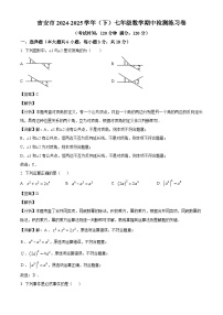江西省吉安市十一校联盟2024-2025学年七年级下学期4月期中考试 数学试题（含解析）