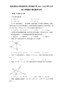 陕西省西安市陕西师范大学附属中学2024-2025学年七年级下学期期中测试 数学试卷（含解析）