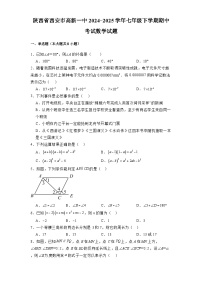 陕西省西安市高新一中2024-2025学年七年级下学期期中考试 数学试题（含解析）