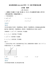 四川省成都市棕北中学2024-2025学年下学期七年级 数学期中考试卷（含解析）