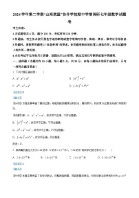 浙江省山海联盟协作学校2024-2025学年下学期七年级 数学期中学情调研试题（含解析）