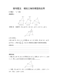 2025年中考数学总复习讲义（山东专用）28 第一部分 第四章 微专题五 相似三角形模型的应用（无答案）