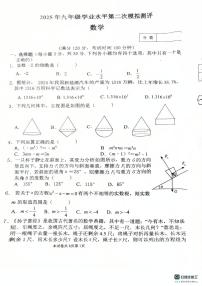 2025年河南省新乡市二模数学试题（中考模拟）