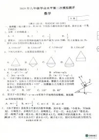 2025年河南省新乡市二模数学试题（中考模拟）