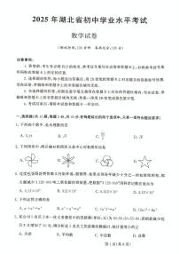 2025年湖北省恩施土家族苗族自治州恩施市中考一模数学试题（中考模拟）