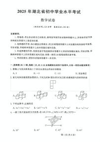 2025年湖北省咸丰县中考适应性考试数学试题（二）（中考模拟）