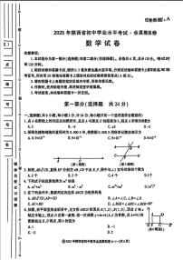 2025年陕西省咸阳市乾县晨光中学中考二模数学试题（中考模拟）