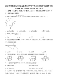 2025年 河北省沧州市盐山县第二中学初中毕业水平模拟 考试数学试卷（中考模拟）
