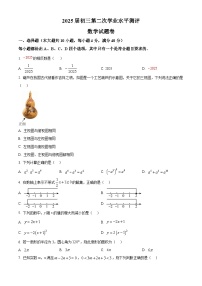 2025年安徽省马鞍山市雨山区二模数学试题（中考模拟）