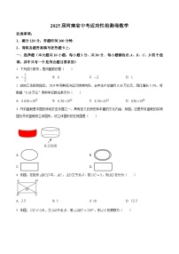 2025年河南省漯河市中考适应性数学检测卷 （原卷版+解析版）（中考模拟）