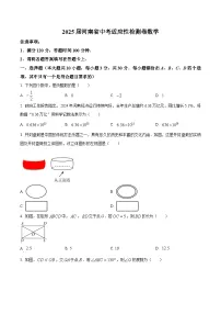 2025年河南省漯河市中考适应性数学检测卷 （原卷版+解析版）（中考模拟）