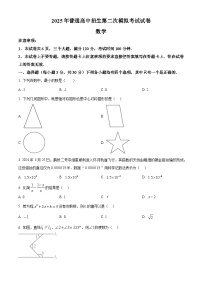 2025年河南省周口市西华县中考二模数学试题（中考模拟）