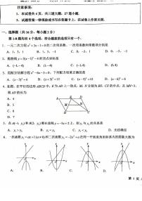 2025北京 十一学校初二（下）期中数学（II）试卷