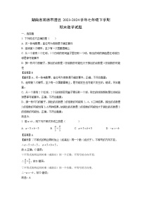 湖南省常德市澧县2023-2024学年七年级下学期期末数学试题（解析版）