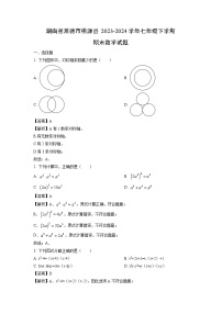 湖南省常德市桃源县2023-2024学年七年级下学期期末数学试题（解析版）