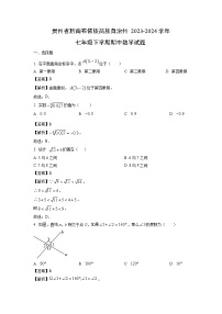 贵州省黔南布依族苗族自治州2023-2024学年七年级下学期期中数学试题（解析版）