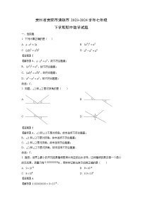 贵州省贵阳市清镇市2023-2024学年七年级下学期期中数学试题（解析版）