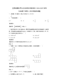江西省赣州市大余县部分学校联考2024-2025学年九年级下学期3月月考数学试题（解析版）
