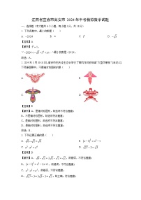 江西省宜春市高安市2024年中考模拟数学试题（解析版）