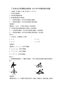广东省汕头市潮阳区铜盂镇2024年中考模拟数学试题（解析版）