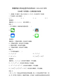 新疆维吾尔自治区昌吉回族自治州2024-2025学年九年级下学期第一次模拟数学试卷（解析版）