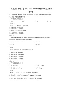 广东省茂名市电白区2024-2025学年九年级下学期三月测数学试卷（解析版）