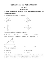 北京市海淀区首都师范大学附属中学2024~2025学年八年级下学期期中数学试卷 （原卷版+解析版）