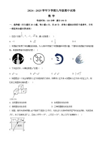 福建省泉州第一中学2024-2025学年九年级下学期4月期中考试数学试题（原卷版+解析版）