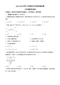 福建省漳州市平和县2024-2025学年七年级下学期期中考试数学试题（原卷版+解析版）