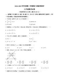 广东省茂名市高州市十校联考2024-2025学年九年级下学期3月月考数学试题（原卷版+解析版）
