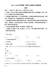 广东省阳江市第二中学2024-2025学年七年级下学期期中考试数学试题（原卷版+解析版）