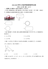 广东省湛江市雷州市 2024-2025学年九年级下学期3月月考数学试题（原卷版+解析版）