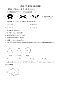 广东省中山市共进联盟2024-2025学年九年级下学期3月月考数学试题（原卷版+解析版）