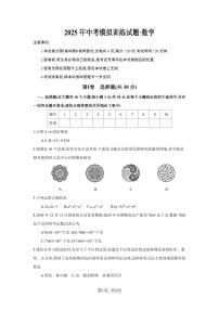 2025年中考模拟训练试题数学试卷含答案