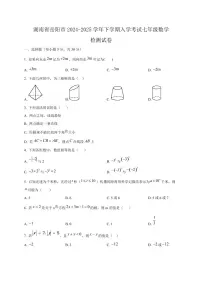 湖南省岳阳市2024-2025学年下学期入学考试七年级数学检测试卷（含答案）