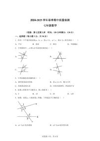 2024-2025学年惠州市下学期期中质量检测七年级数学试卷（含答案）