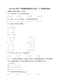 广东省揭阳市揭西县2024-2025学年九年级上学期期末数学试题