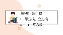 初中数学沪科版（2024）七年级下册（2024）平方根、立方根教课课件ppt