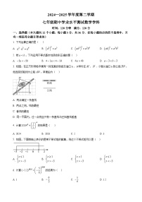 河北省石家庄外国语学校2024-2025学年七年级下学期期中考试数学试卷（原卷版+解析版）