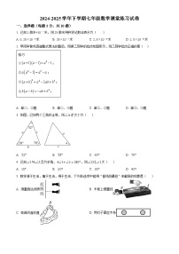 河南省郑州市管城回族区2024-2025学年七年级下学期3月月考数学试题（原卷版+解析版）
