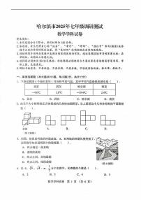 2025年哈尔滨市七年级（下）期中联考数学试卷及答案