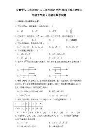 安徽省安庆市大观区安庆市外国语学校2024-2025学年八年级下学期4月期中 数学试题（含解析）