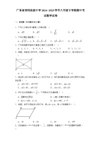 广东省深圳高级中学2024-2025学年八年级下学期期中考试 数学试卷（含解析）