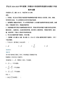 广东省云浮市罗定市2024-2025学年下学期期中八年级 数学试卷（含解析）