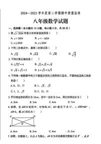河北省保定市定州市2024-2025学年八年级下学期4月期中 数学试题（PDF版）