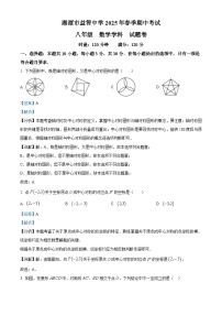 湖南省湘潭市益智中学2024-2025学年八年级下学期期中考试 数学试题（含解析）