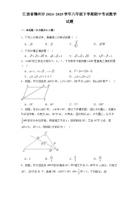 江西省赣州市2024-2025学年八年级下学期期中考试 数学试题（含解析）